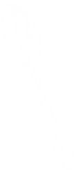 cuchara